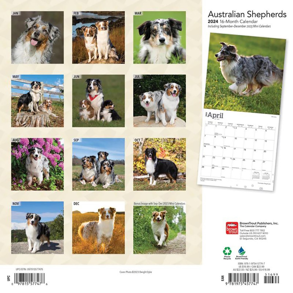 Australian Shepherds 2024 Calendar Ryft
